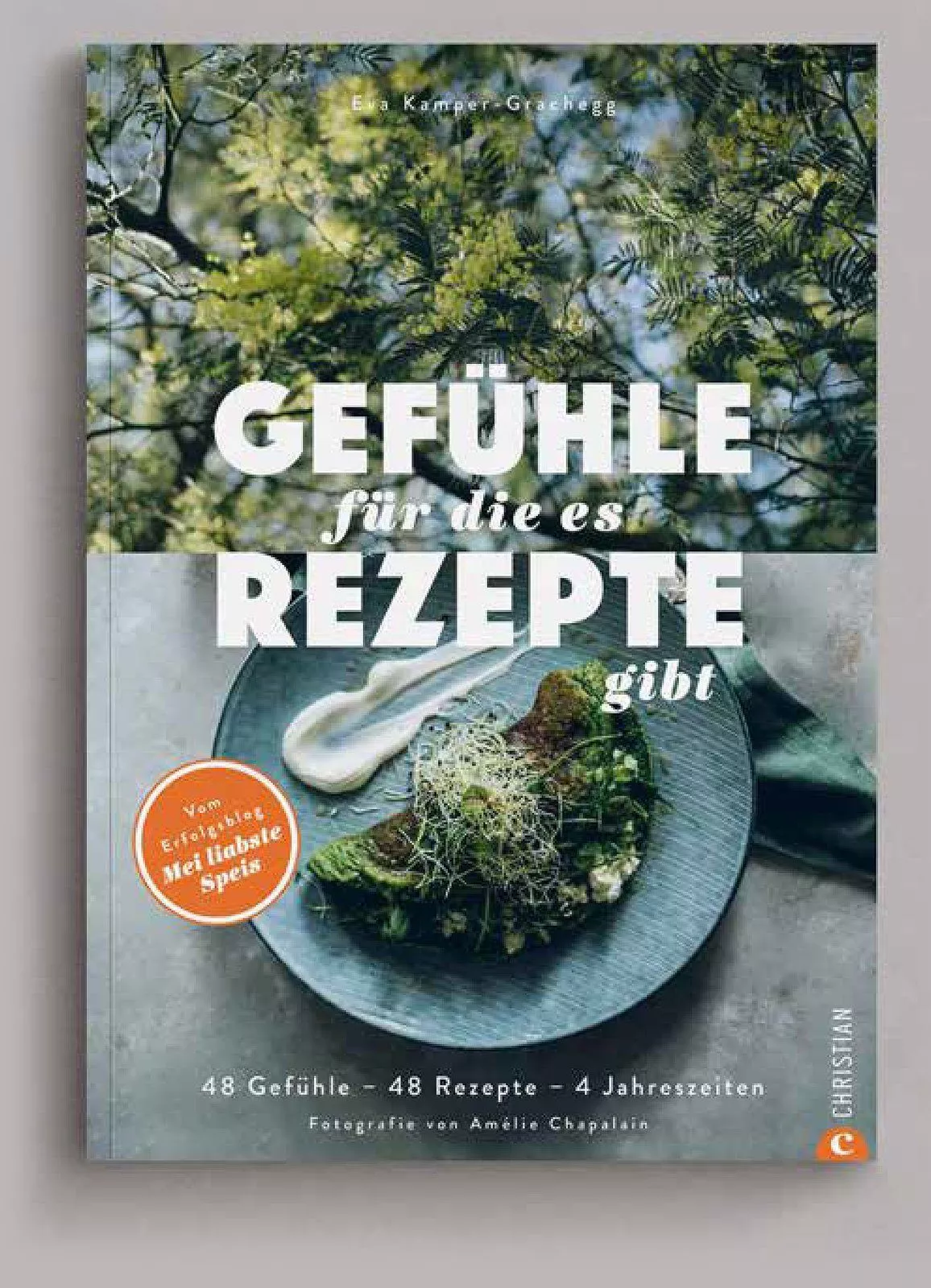 Buchcover Gefühle für die es Rezepte gibt Eva Kamper-Grachegg