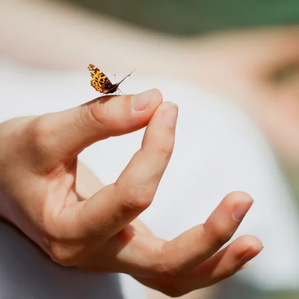 Meditation Du in deiner wahren Natur
